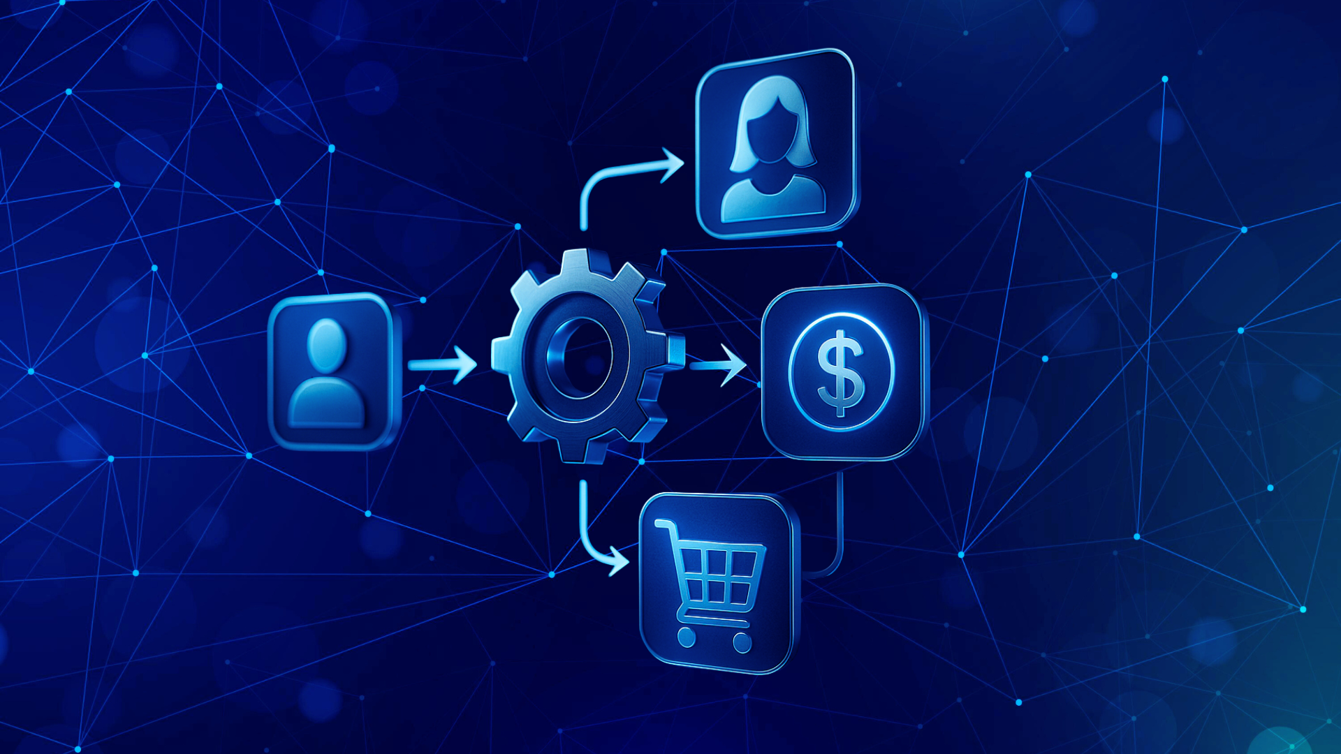 Digital payment and data visualization